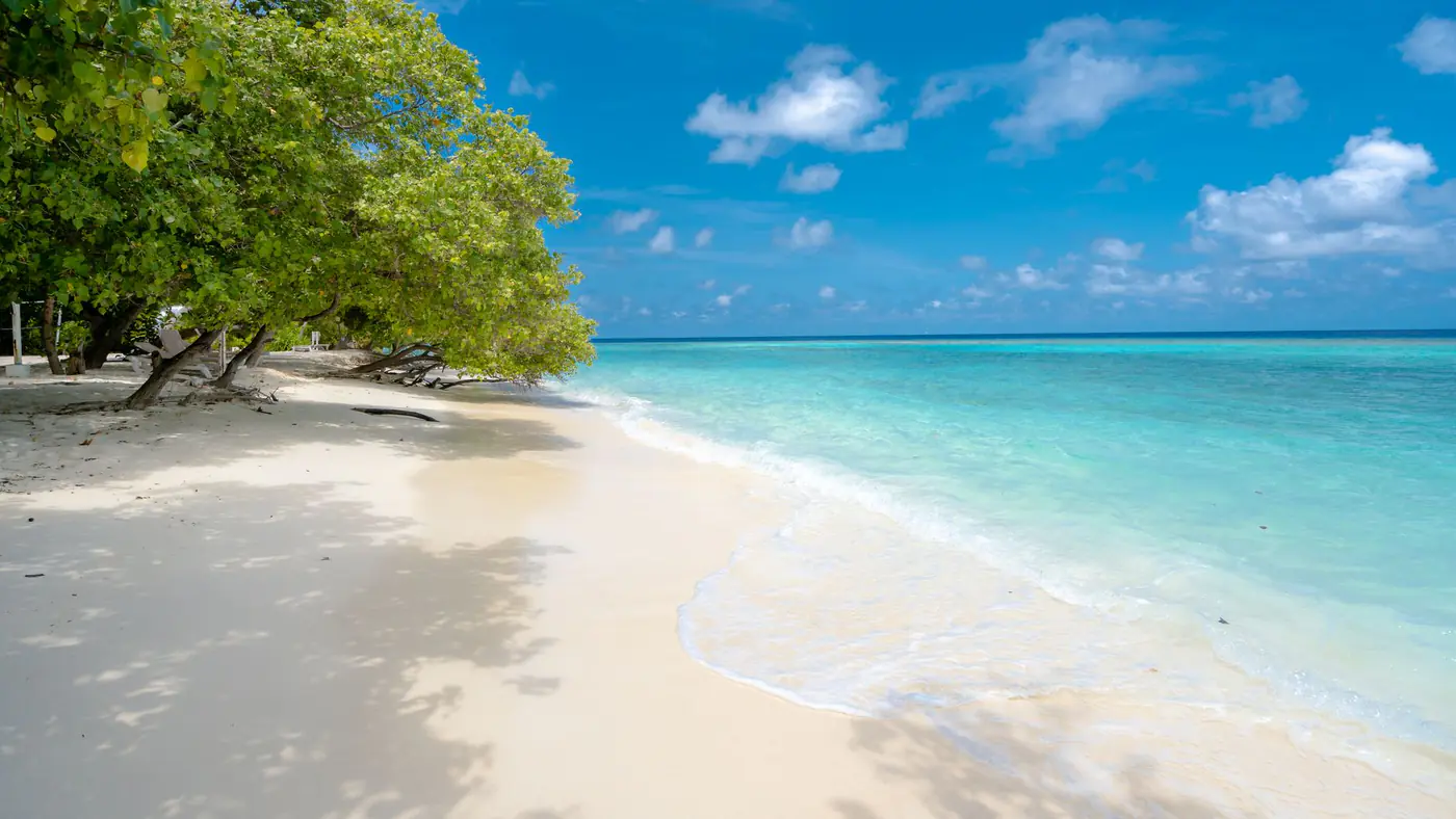 Breathtaking tropical beach with crystal clear waters and lush trees stretching along the shore.